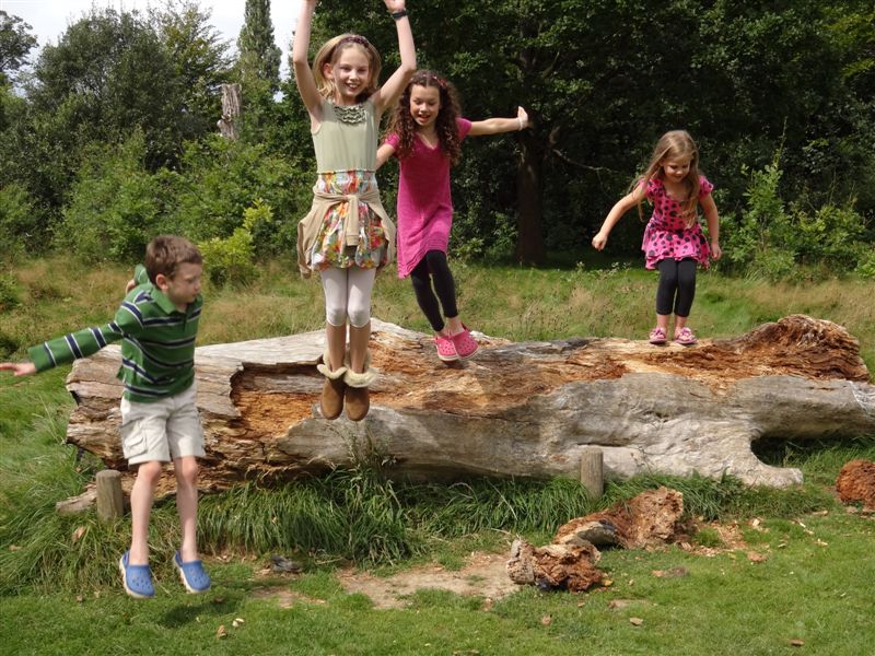 Nate, Ava, Anna and Bea jumping off a log in Horsham Park