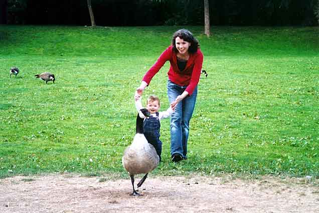 Granville Island Goose Chase