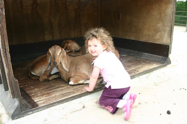 Anna at the London Zoo