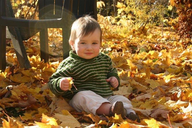 Alex in leaves