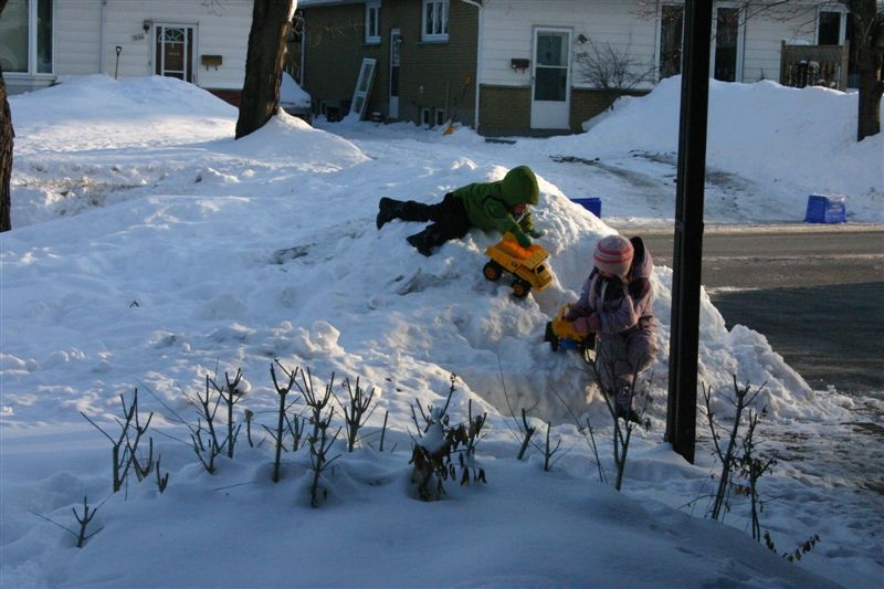 Playing in snowbank beside driveway